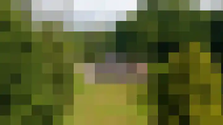 Zwarteweg 5 Emst thumbnail 22