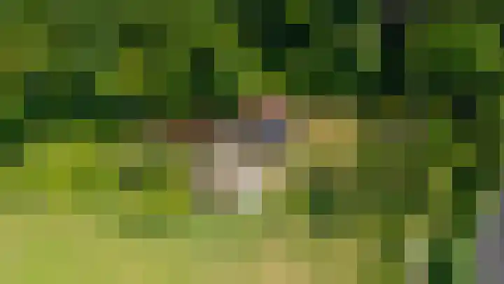 Zwarteweg 5 Emst thumbnail 23