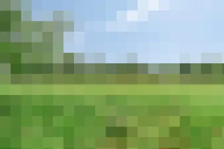 Zwarteweg 5 Emst thumbnail 25