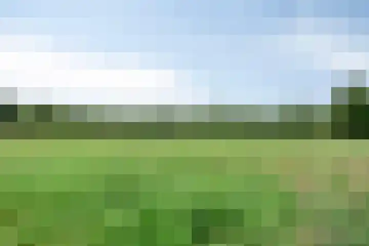 Zwarteweg 5 Emst thumbnail 26