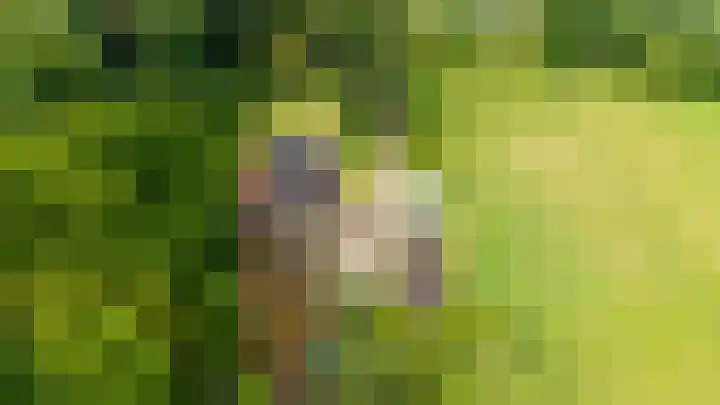 Zwarteweg 5 Emst thumbnail 28