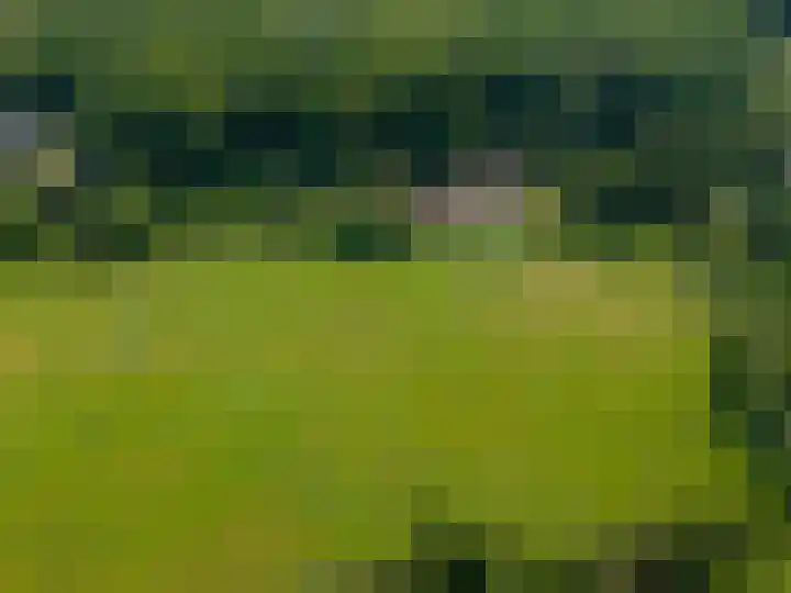 Zwarteweg 5 Emst thumbnail 29