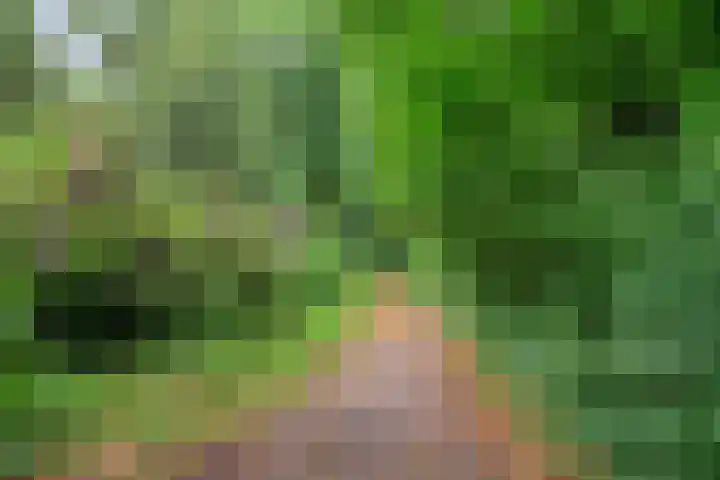 Zwarteweg 5 Emst thumbnail 4