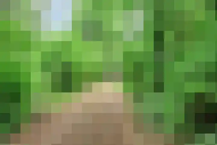Zwarteweg 5 Emst thumbnail 5