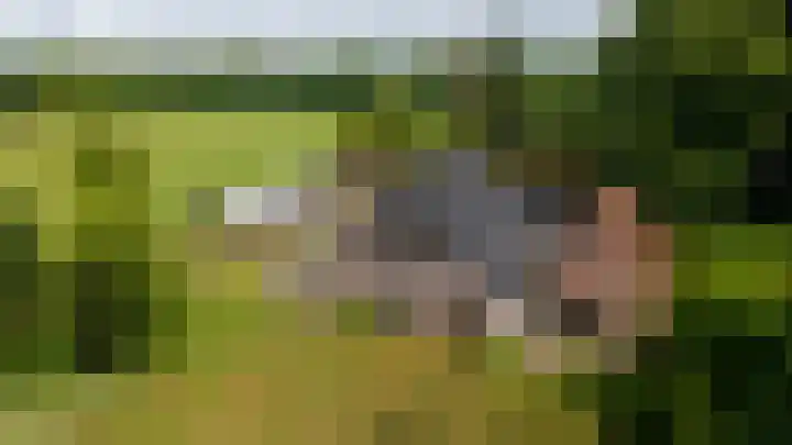 Zwarteweg 5 Emst thumbnail 6