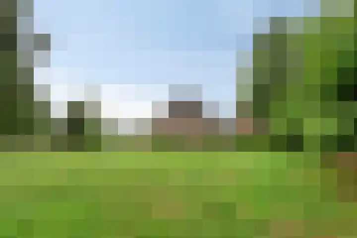 Zwarteweg 5 Emst thumbnail 7
