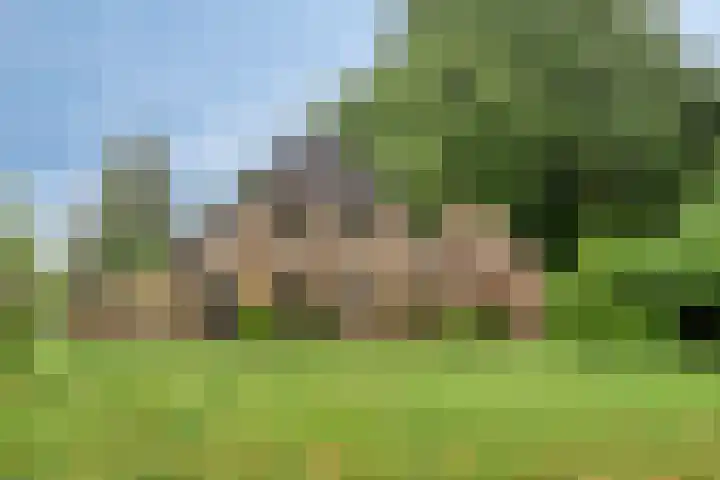 Zwarteweg 5 Emst thumbnail 8