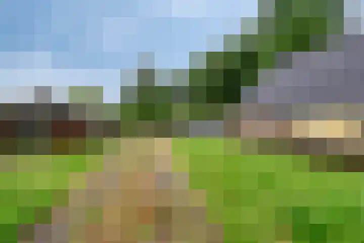 Zwarteweg 5 Emst thumbnail 9