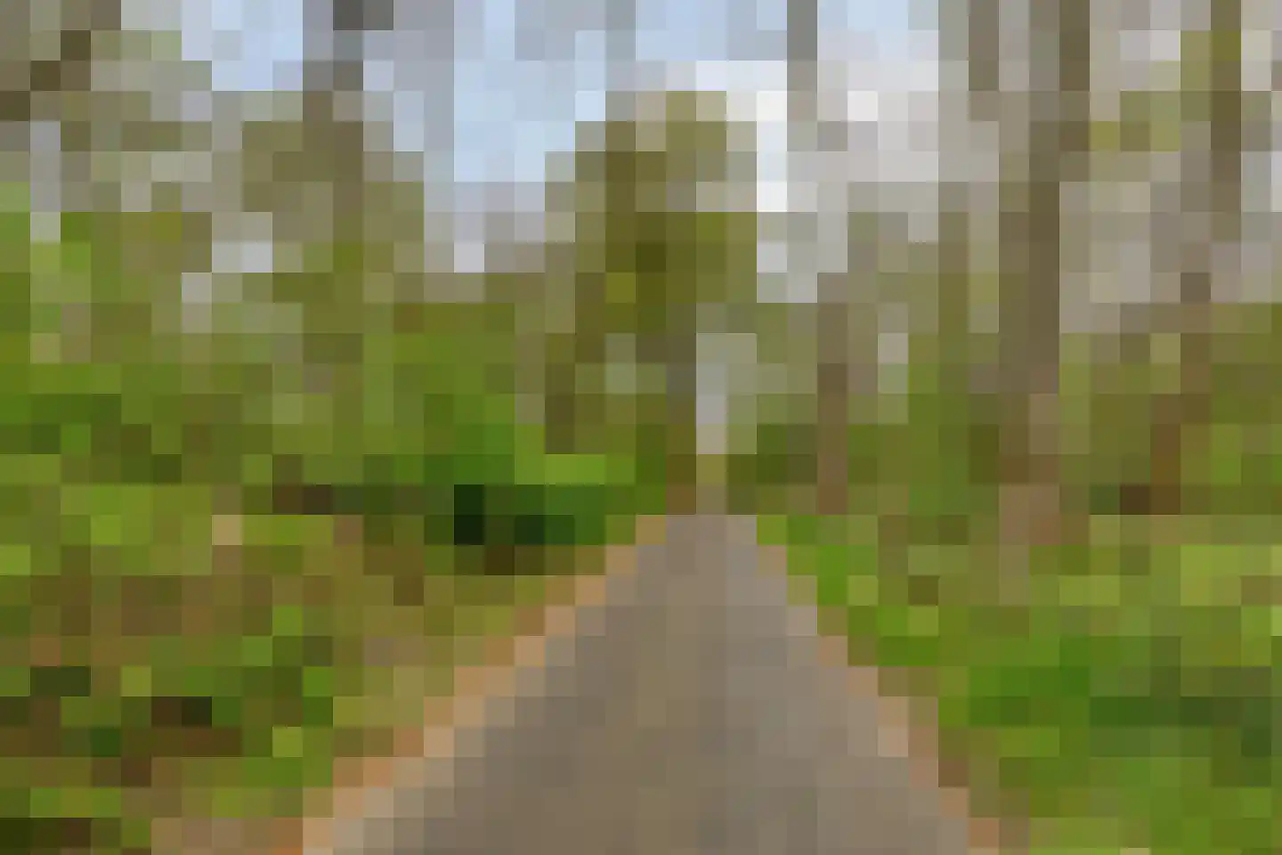 Zwarteweg 53 Bennebroek thumbnail 48