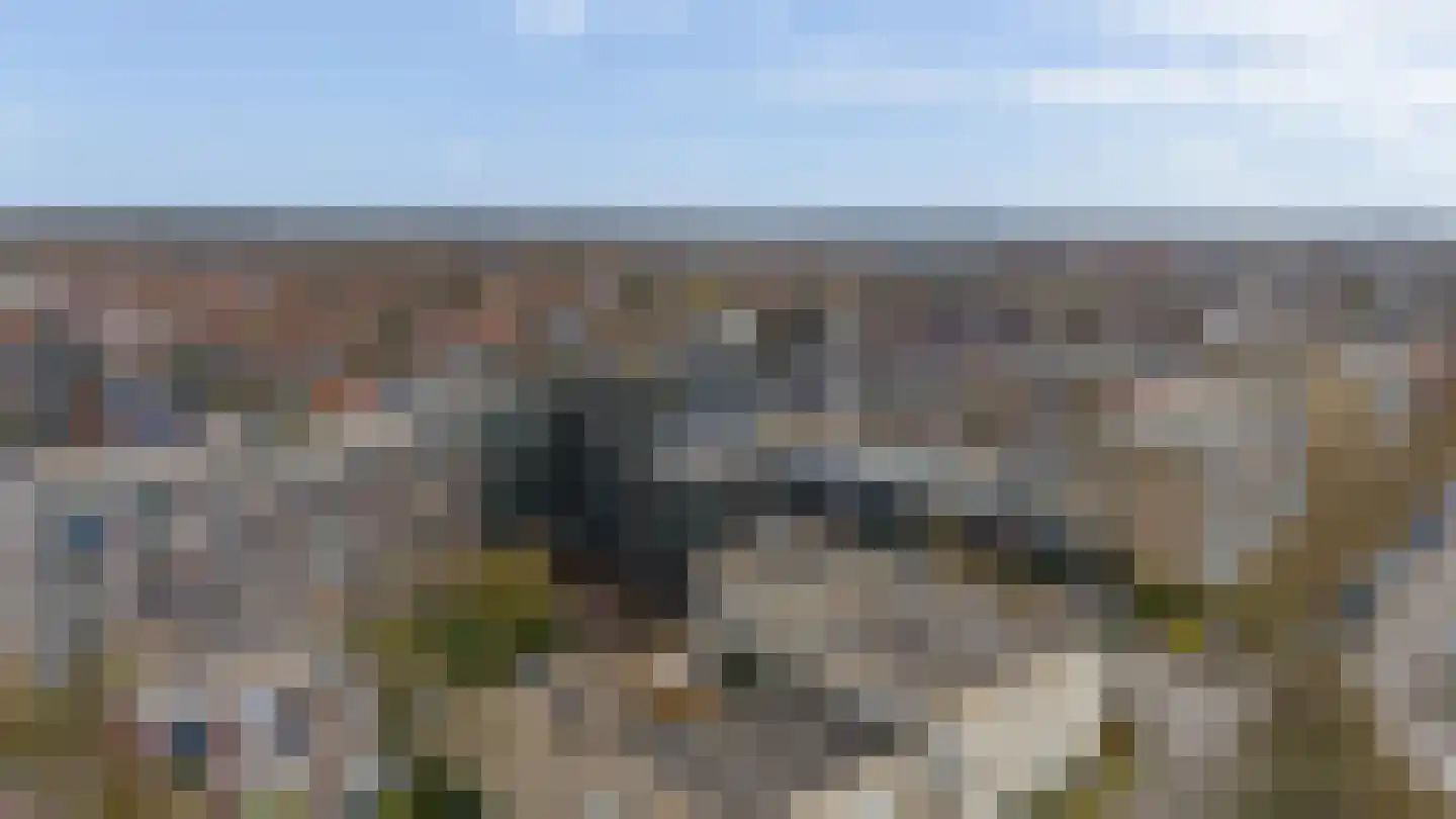 Zwarteweg 6 B 7 Naarden thumbnail 42