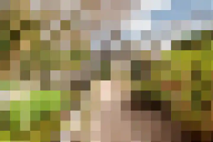 Zwarteweg 6 Oosterwolde Gld thumbnail 31