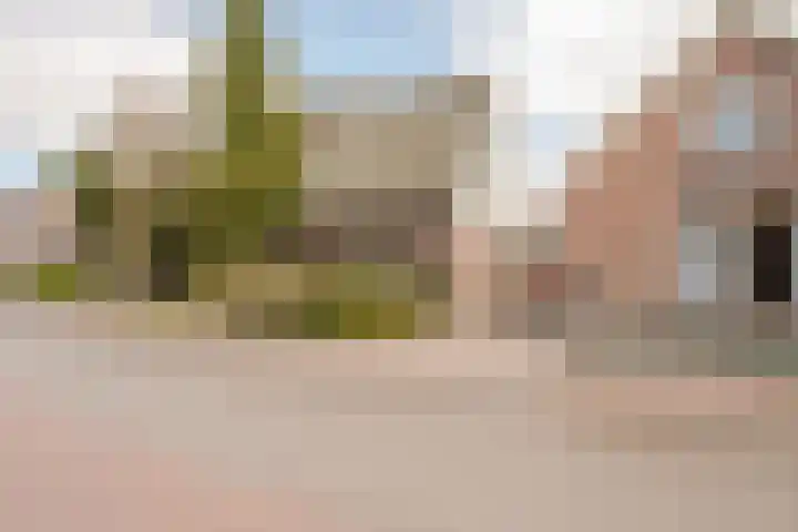 Zwarteweg 6 Oosterwolde Gld thumbnail 4