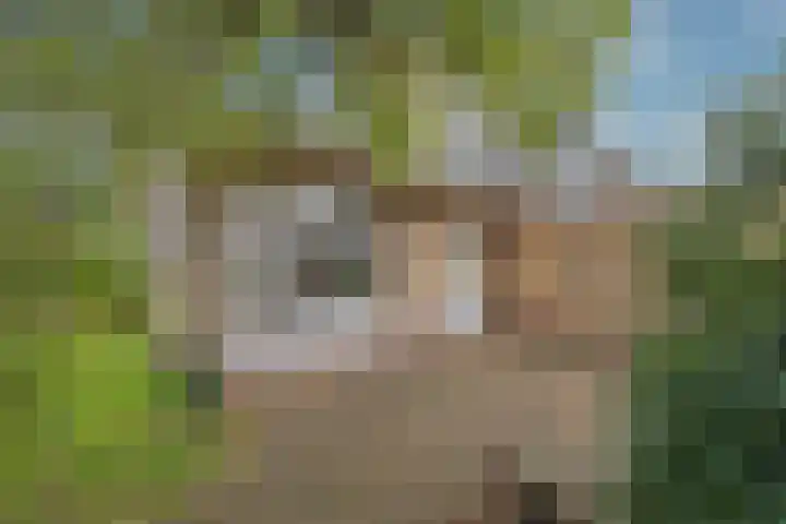 Zwarteweg 60 Bennebroek thumbnail 16