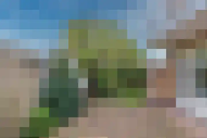 Zwarteweg 60 Bennebroek thumbnail 33