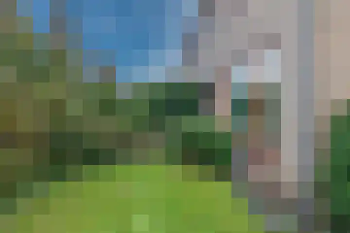 Zwarteweg 60 Bennebroek thumbnail 34