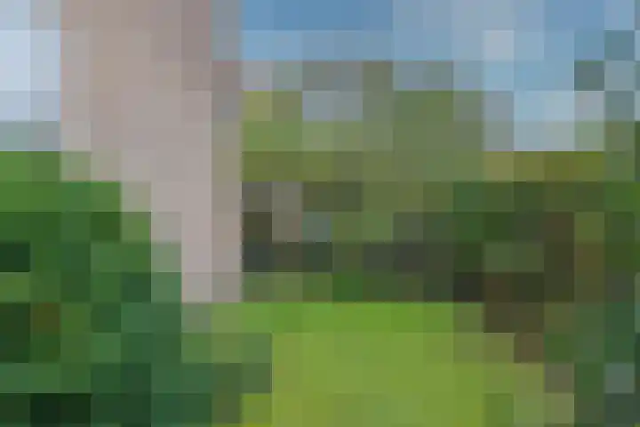 Zwarteweg 60 Bennebroek thumbnail 35