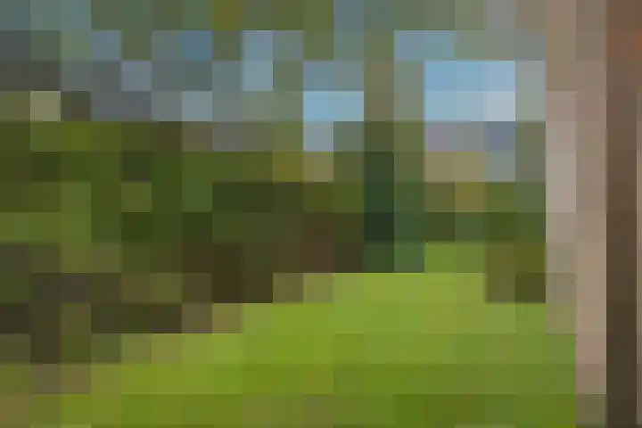 Zwarteweg 60 Bennebroek thumbnail 36
