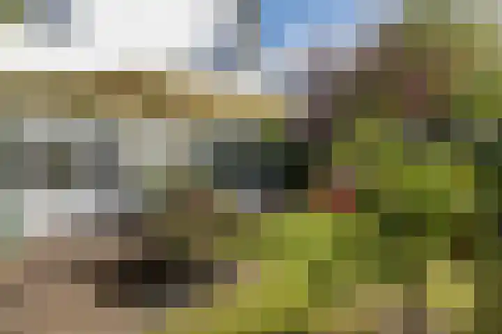 Zwarteweg 62 Naarden thumbnail 39