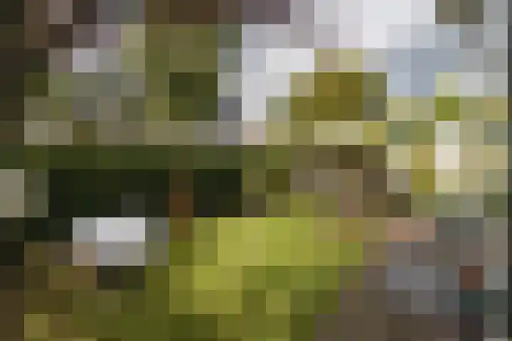 Zwarteweg 62 Naarden thumbnail 41