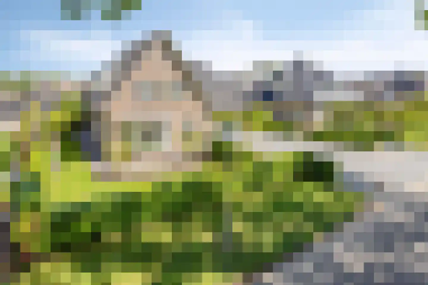 Zwarteweg 66 Nieuw-Amsterdam thumbnail 64