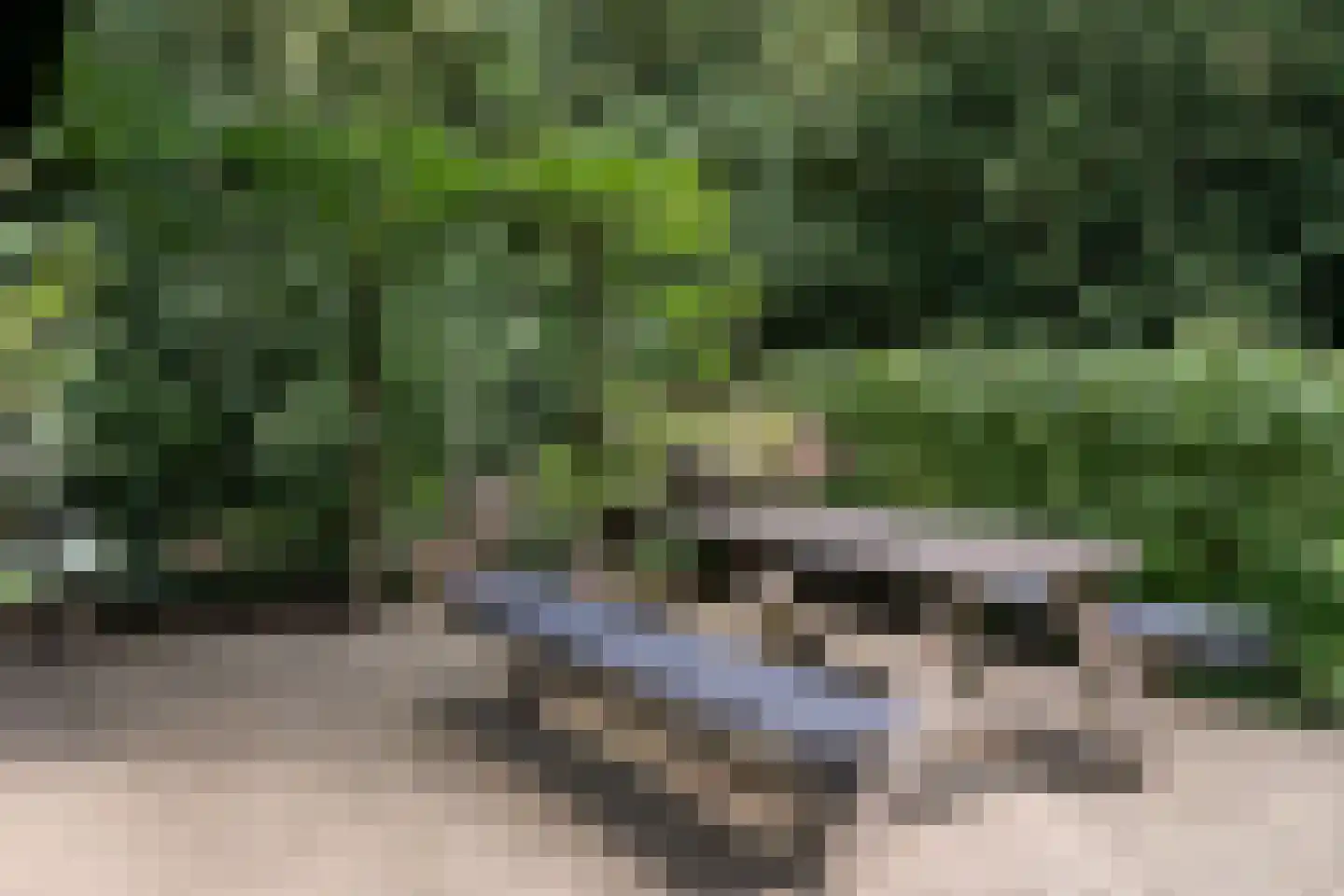 Zwarteweg 7 Aerdenhout thumbnail 29