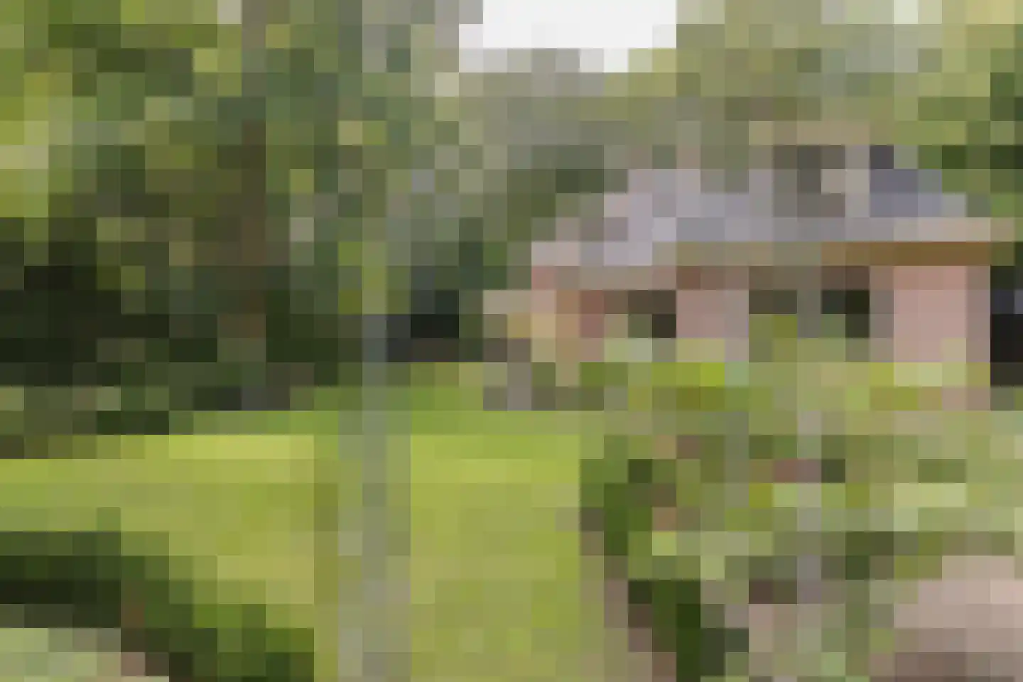Zwarteweg 7 Aerdenhout thumbnail 31