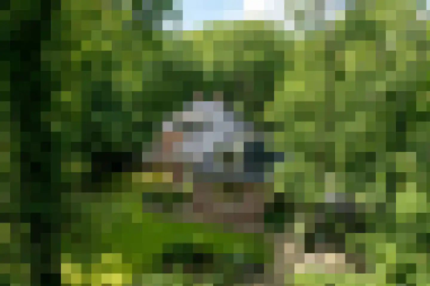 Zwarteweg 7 Aerdenhout thumbnail 36