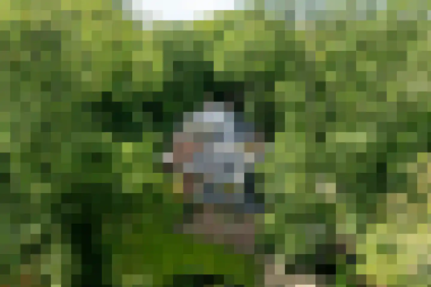 Zwarteweg 7 Aerdenhout thumbnail 37