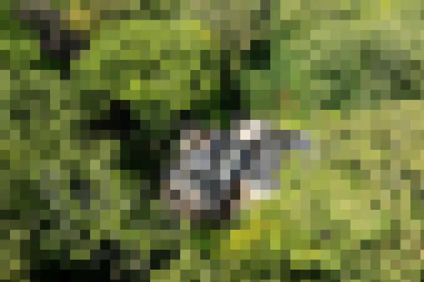 Zwarteweg 7 Aerdenhout thumbnail 38