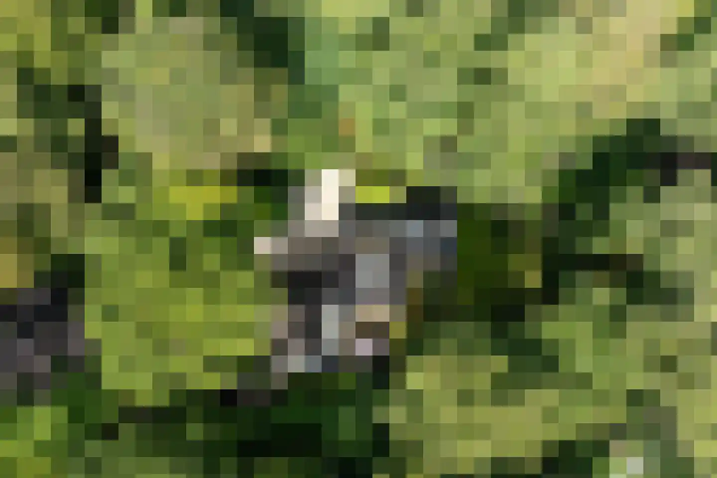 Zwarteweg 7 Aerdenhout thumbnail 41