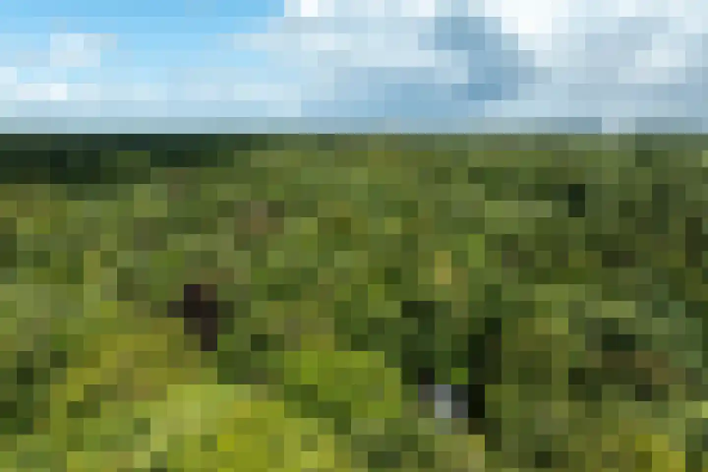 Zwarteweg 7 Aerdenhout thumbnail 42