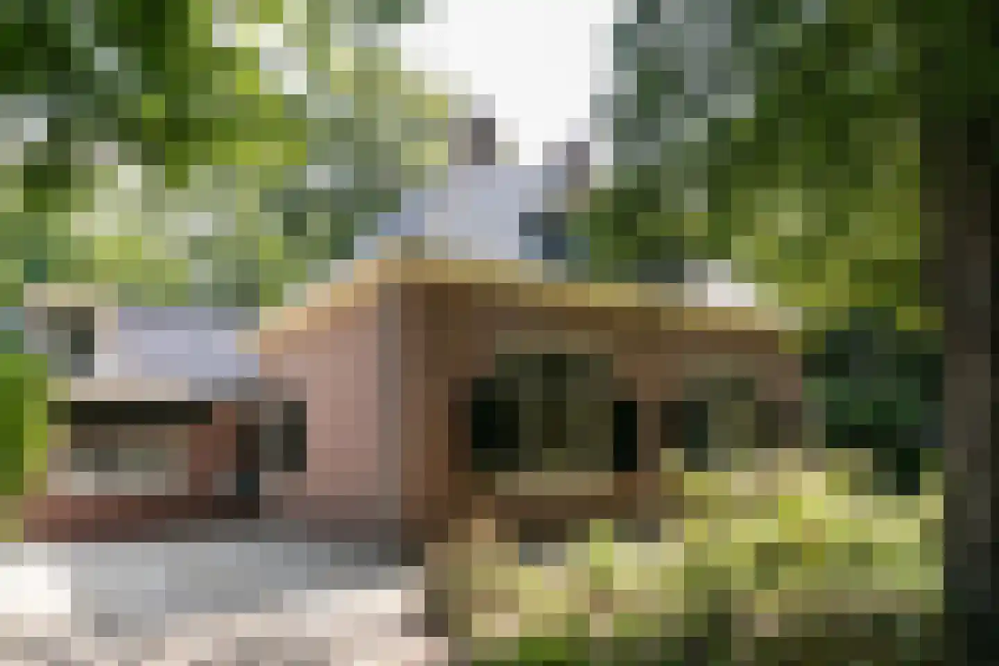 Zwarteweg 7 Aerdenhout thumbnail 6