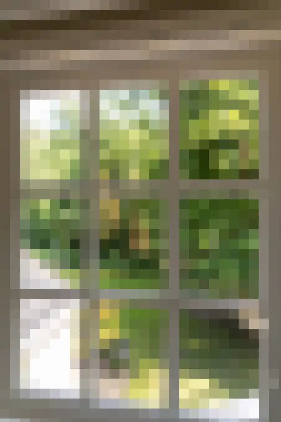 Zwarteweg 7 Aerdenhout thumbnail 9