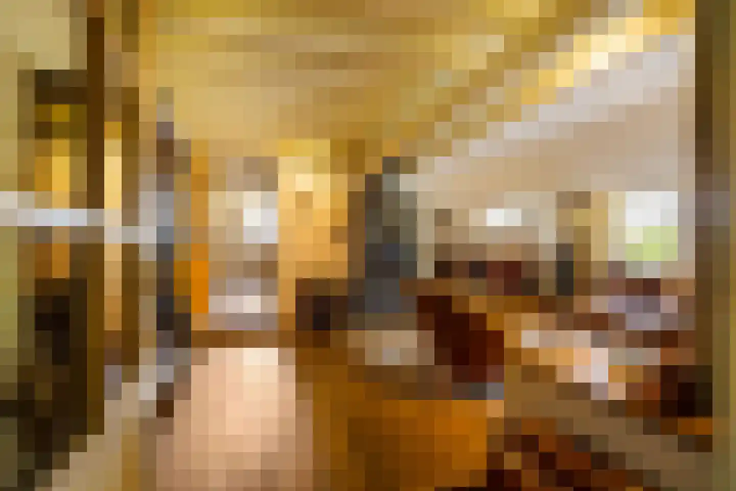 Zwarteweg 7 Gieterveen thumbnail 10