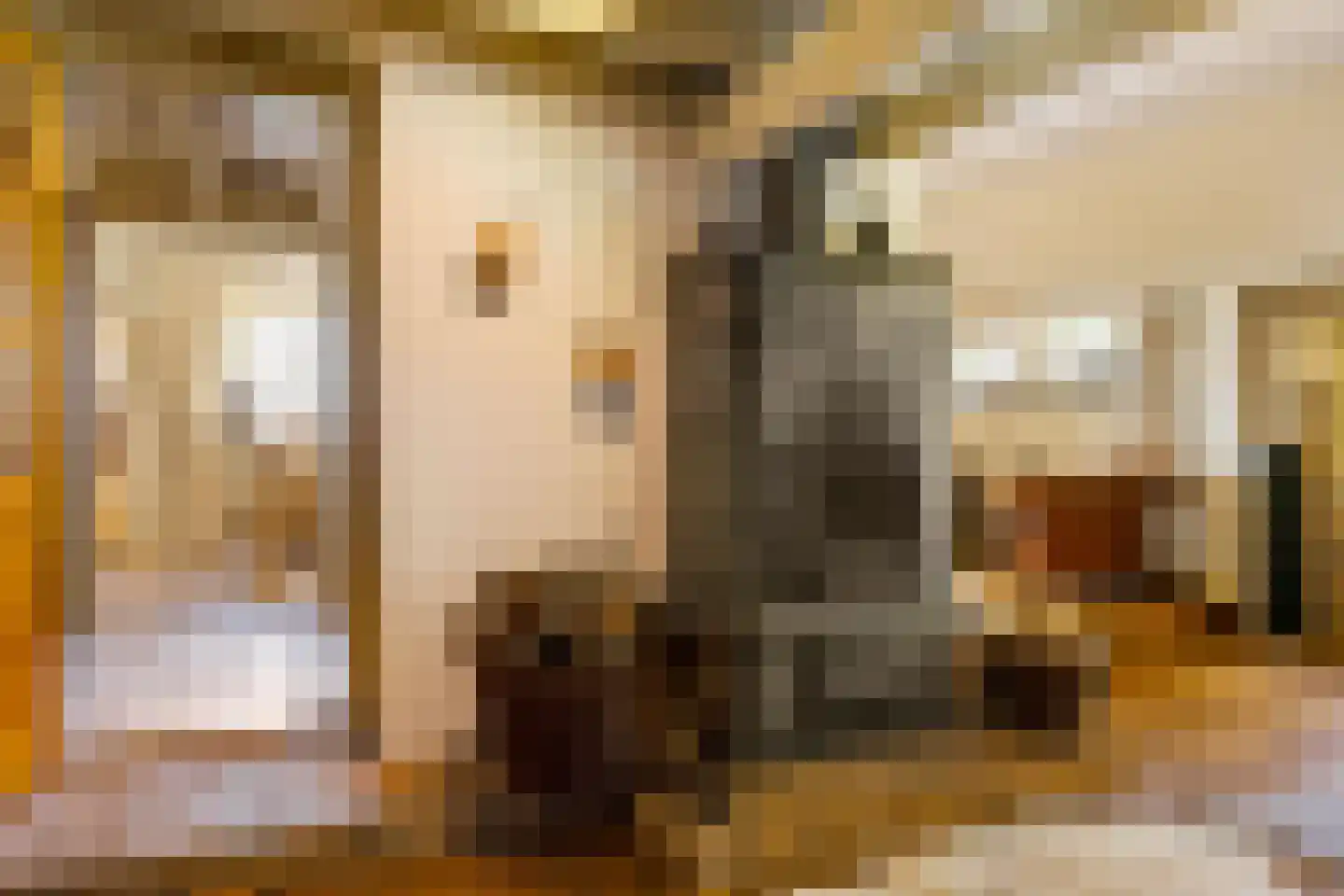 Zwarteweg 7 Gieterveen thumbnail 11