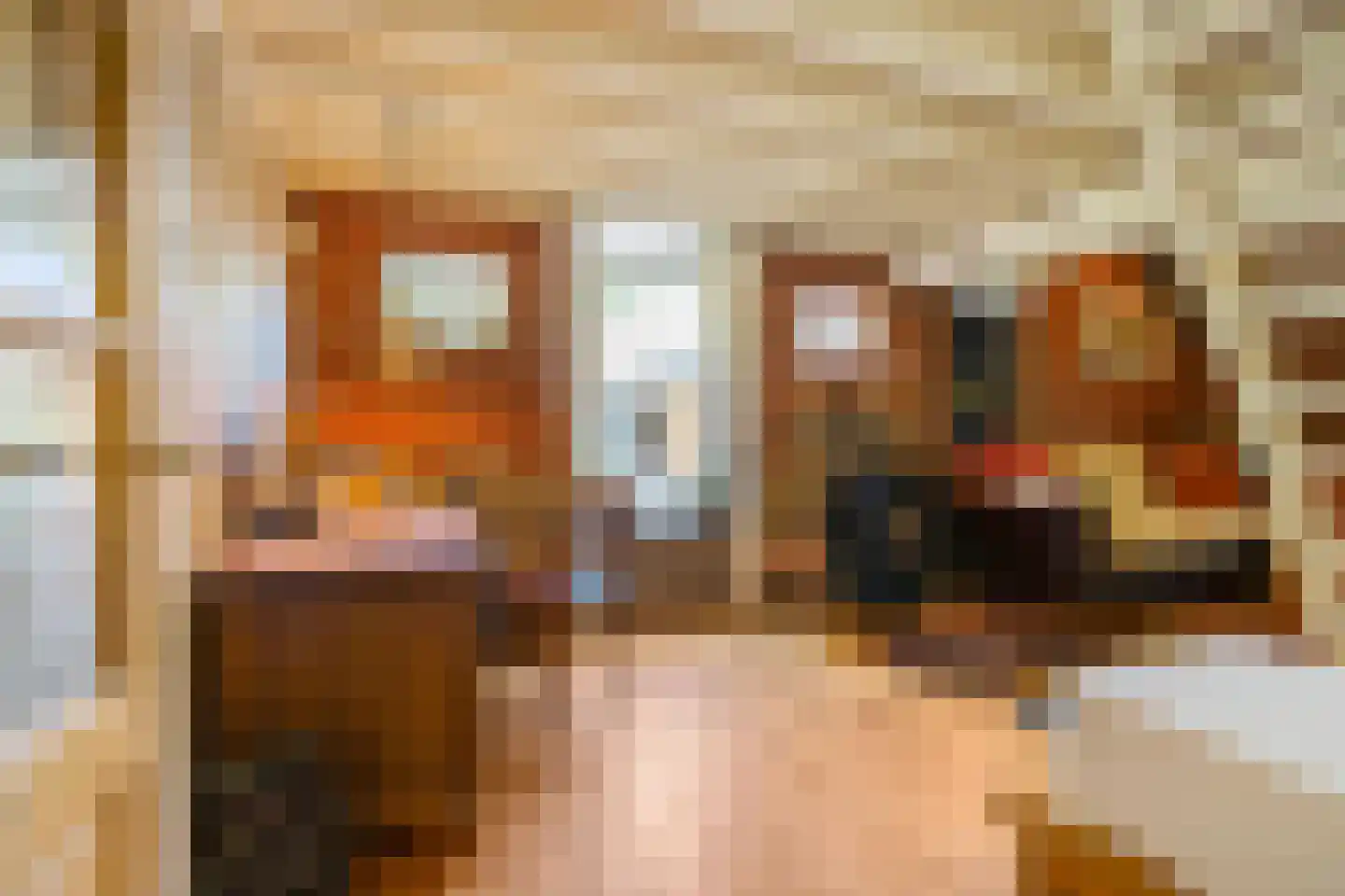 Zwarteweg 7 Gieterveen thumbnail 25