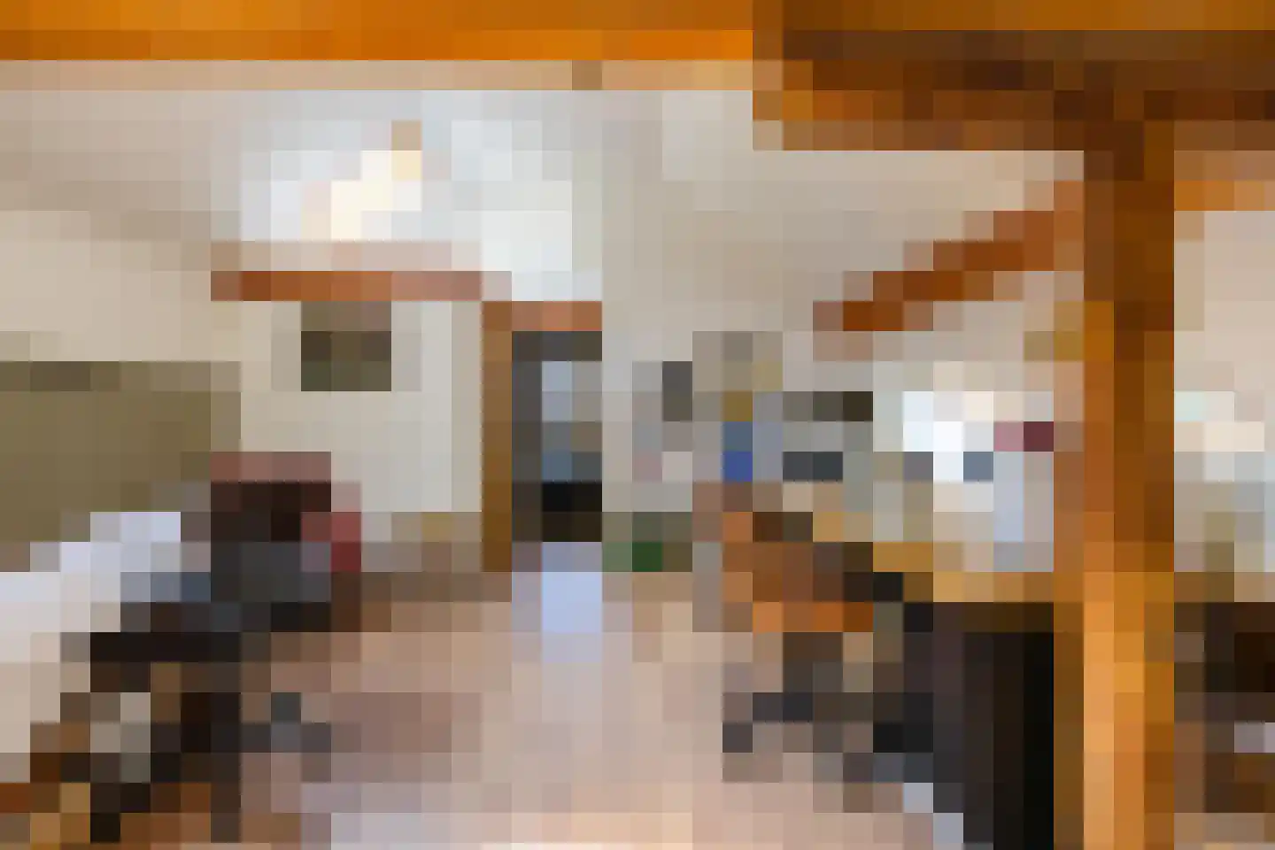 Zwarteweg 7 Gieterveen thumbnail 33
