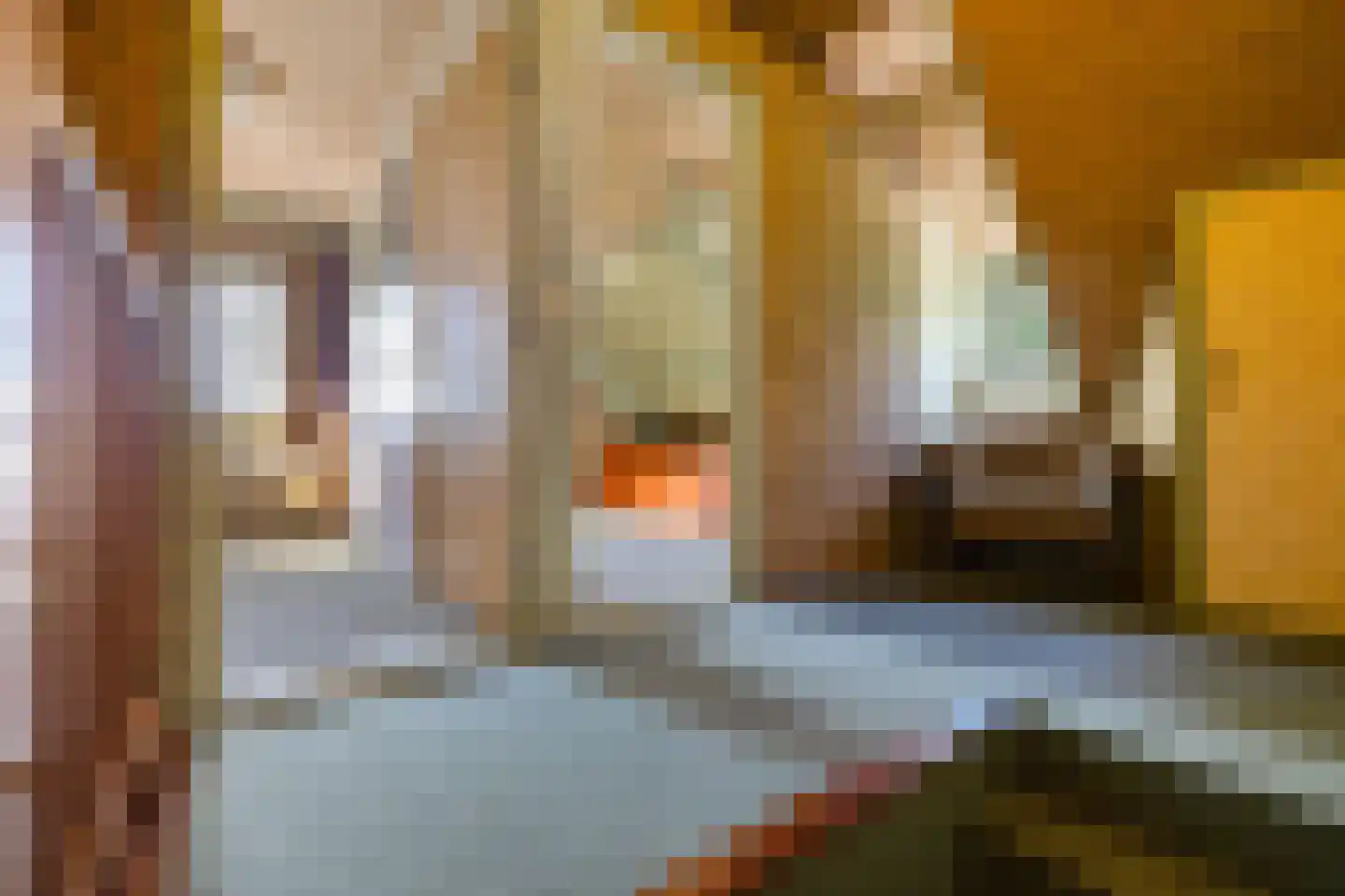 Zwarteweg 7 Gieterveen thumbnail 36