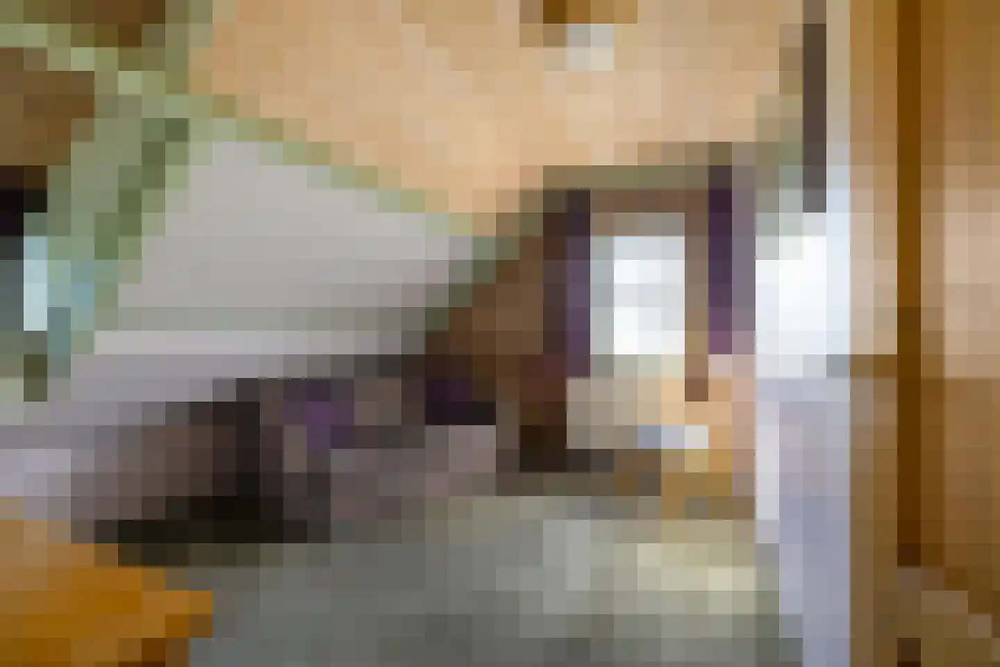 Zwarteweg 7 Gieterveen thumbnail 39