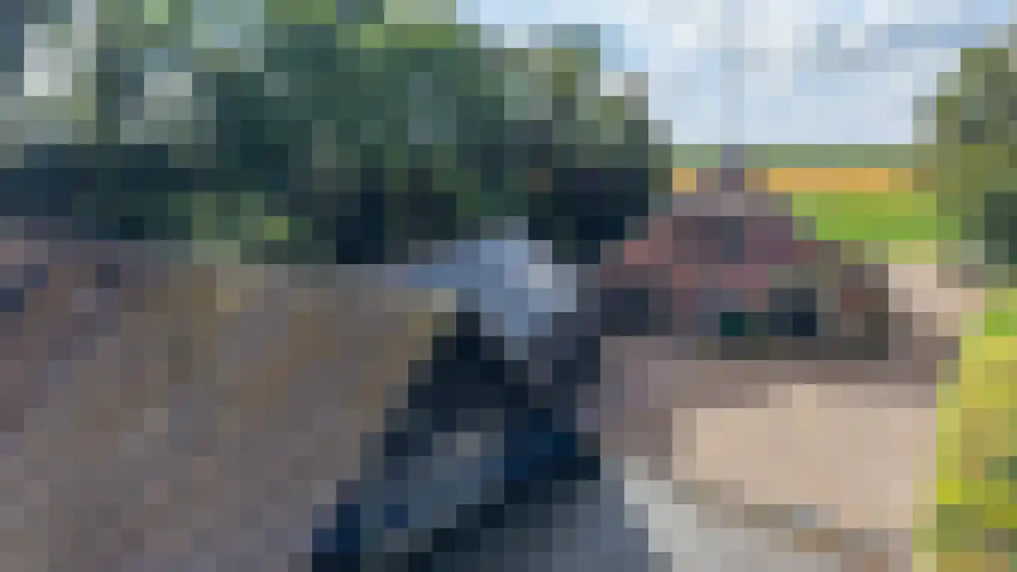 Zwarteweg 7 Gieterveen thumbnail 41
