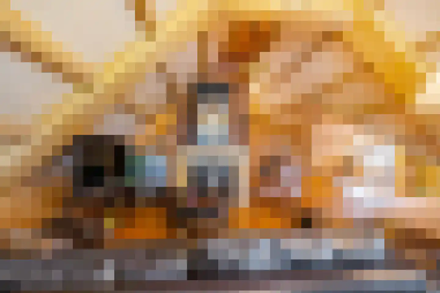 Zwarteweg 7 Gieterveen thumbnail 51