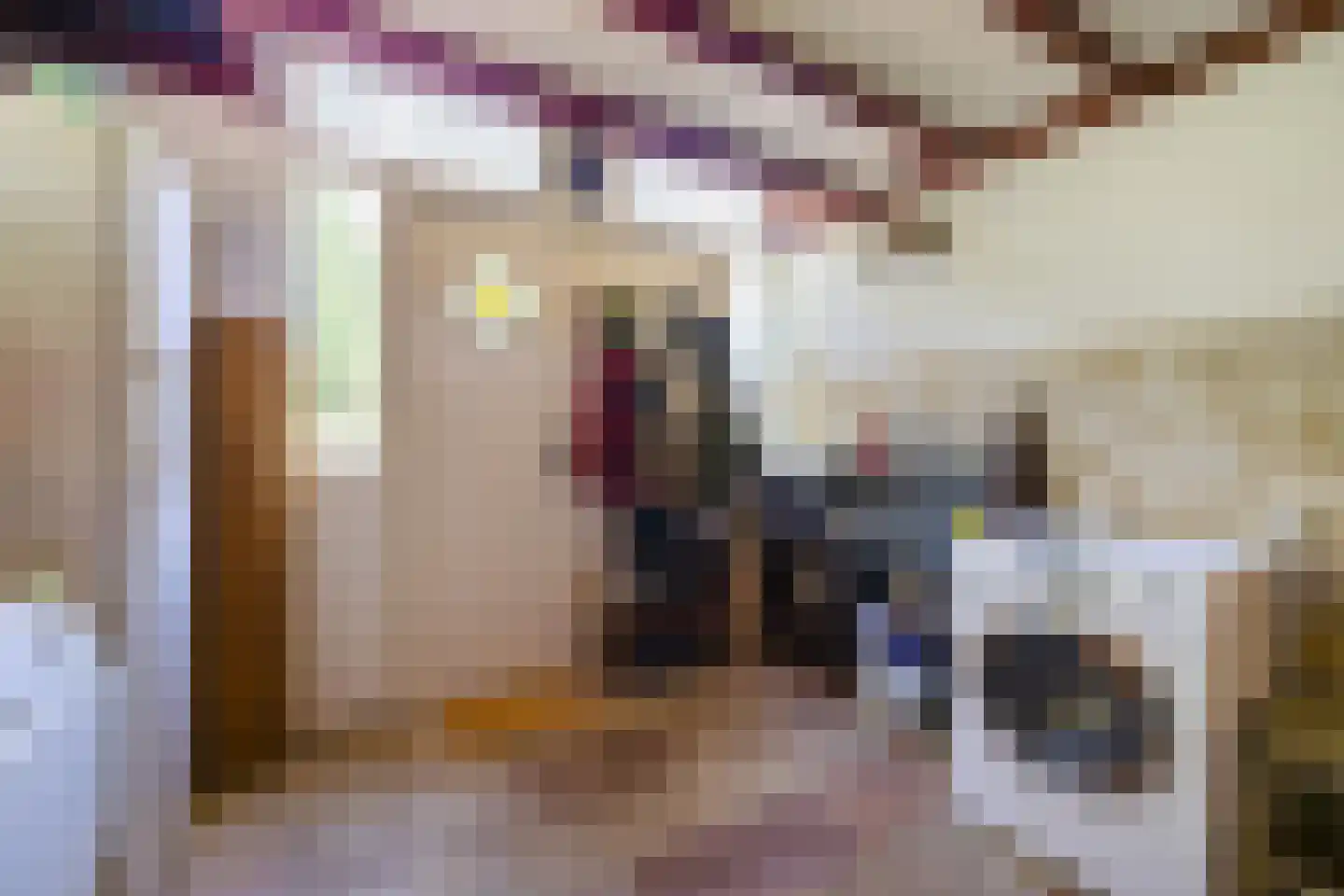 Zwarteweg 7 Gieterveen thumbnail 6