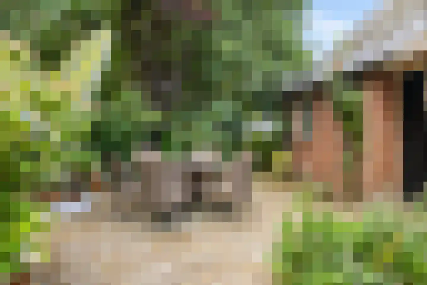 Zwarteweg 7 Gieterveen thumbnail 60