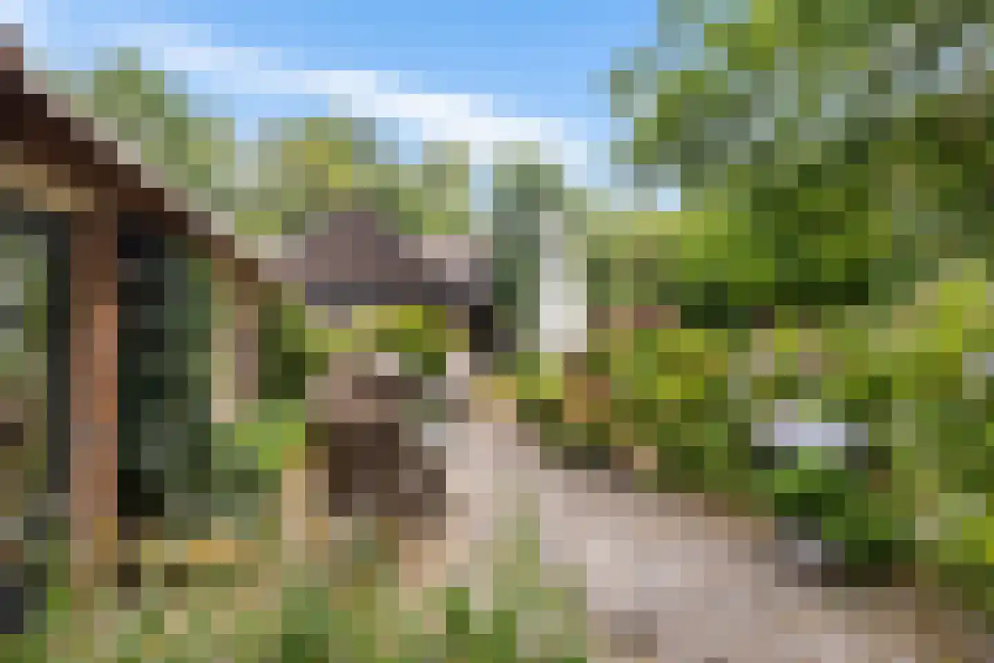 Zwarteweg 7 Gieterveen thumbnail 61