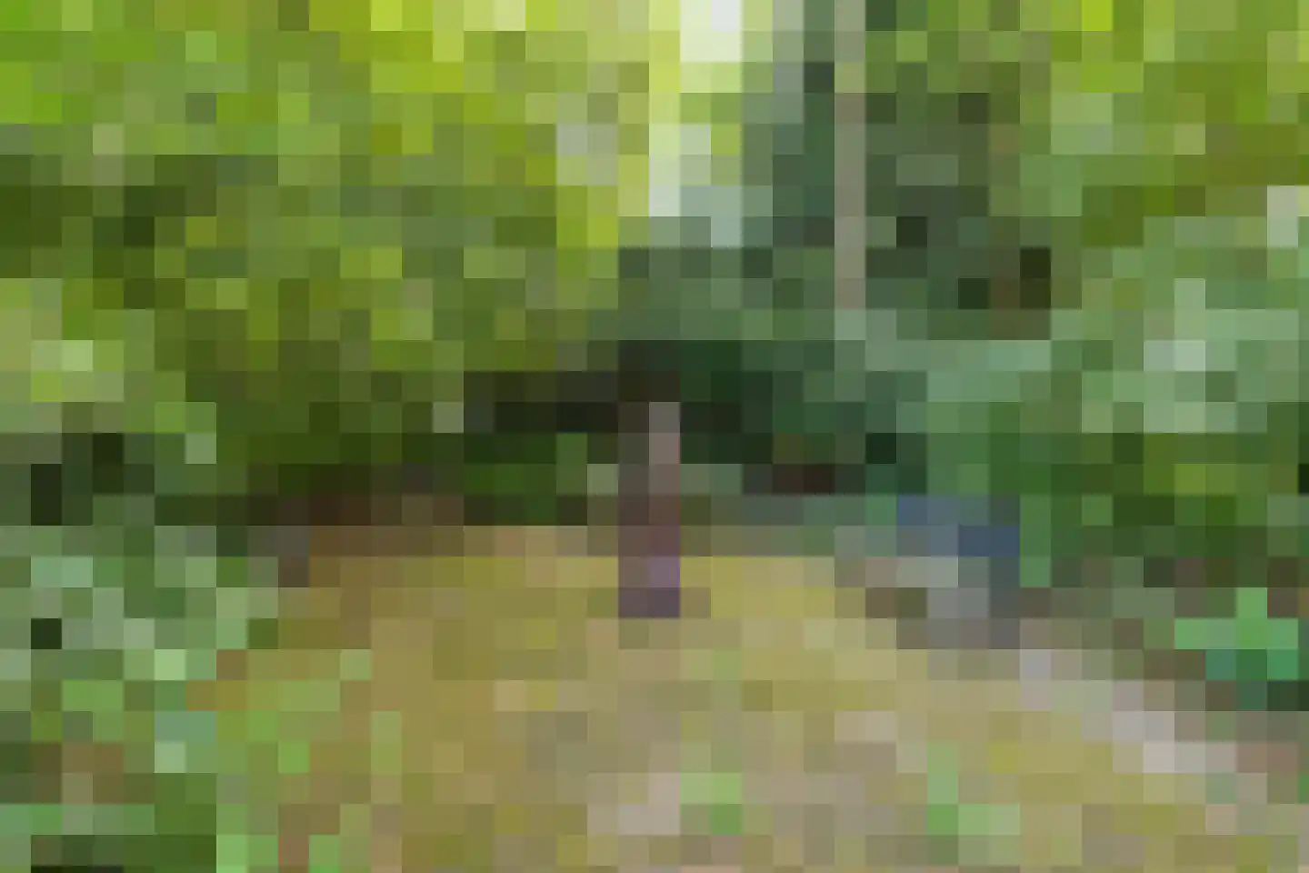 Zwarteweg 7 Gieterveen thumbnail 62