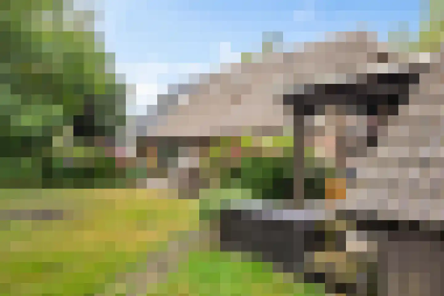 Zwarteweg 7 Gieterveen thumbnail 64