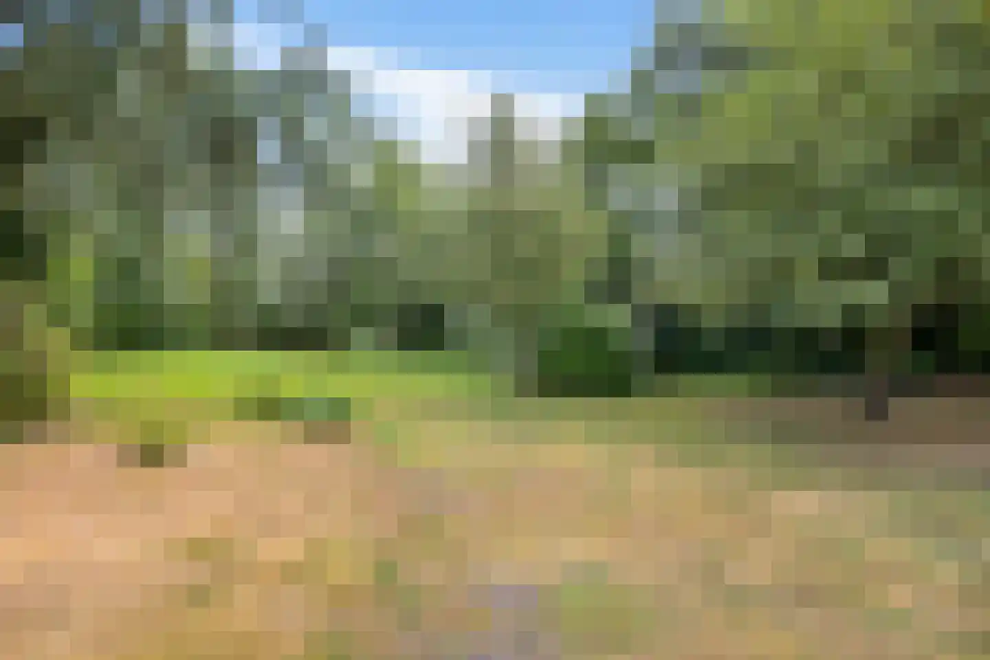 Zwarteweg 7 Gieterveen thumbnail 66