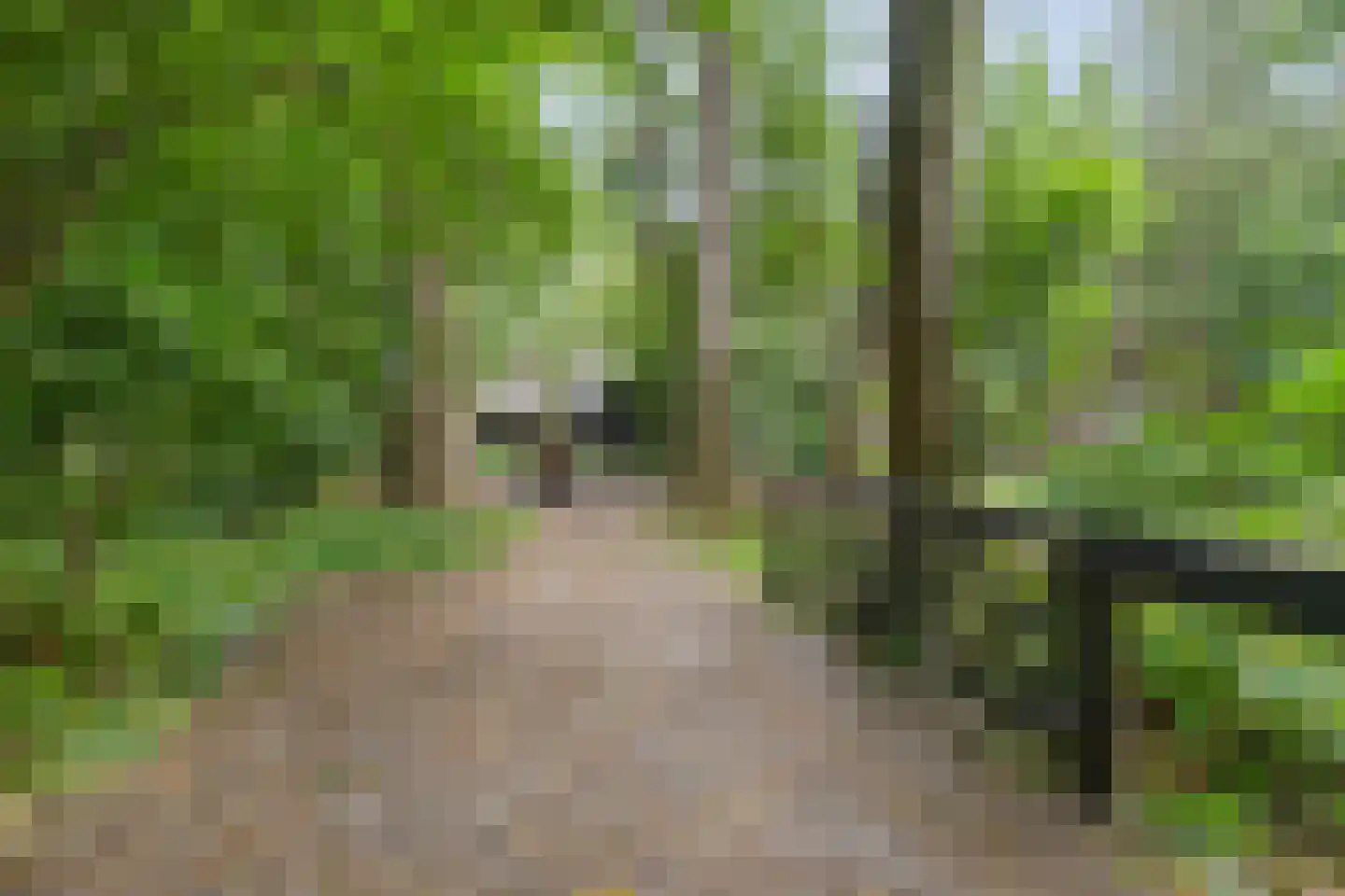 Zwarteweg 7 Gieterveen thumbnail 67