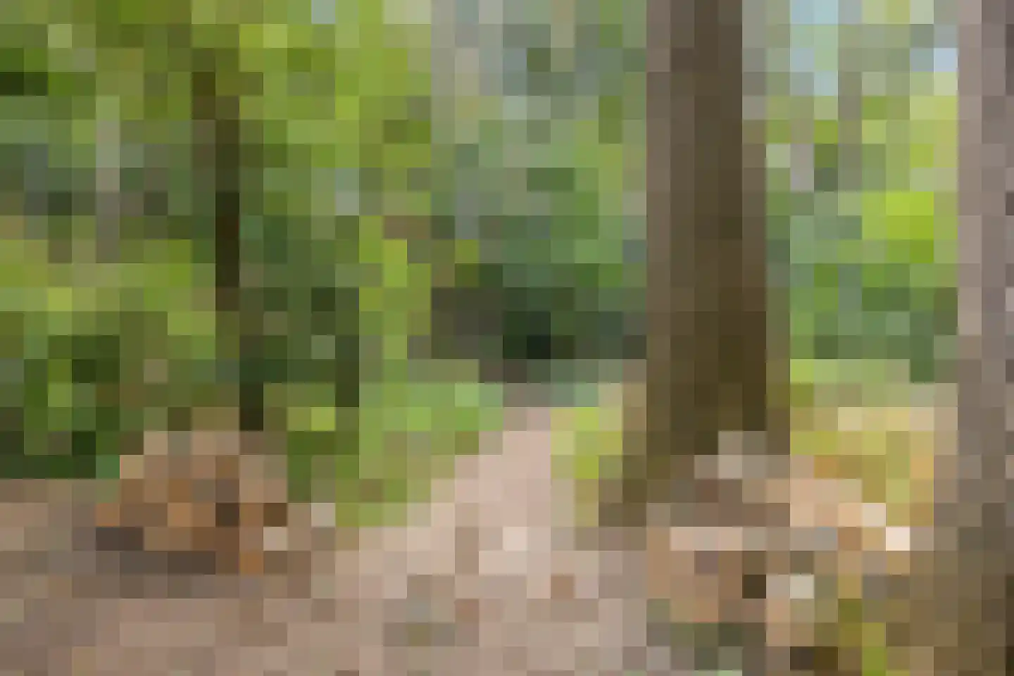 Zwarteweg 7 Gieterveen thumbnail 70
