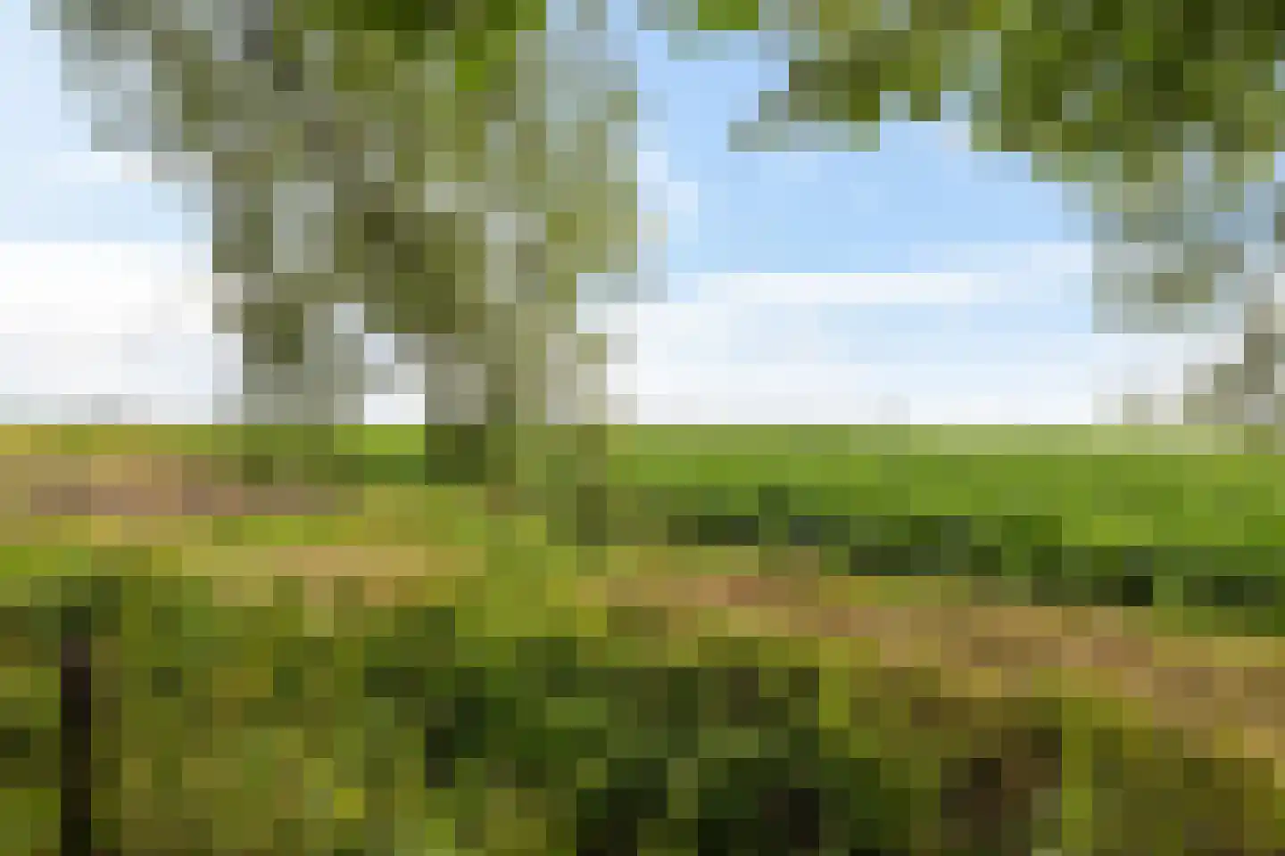 Zwarteweg 7 Gieterveen thumbnail 71